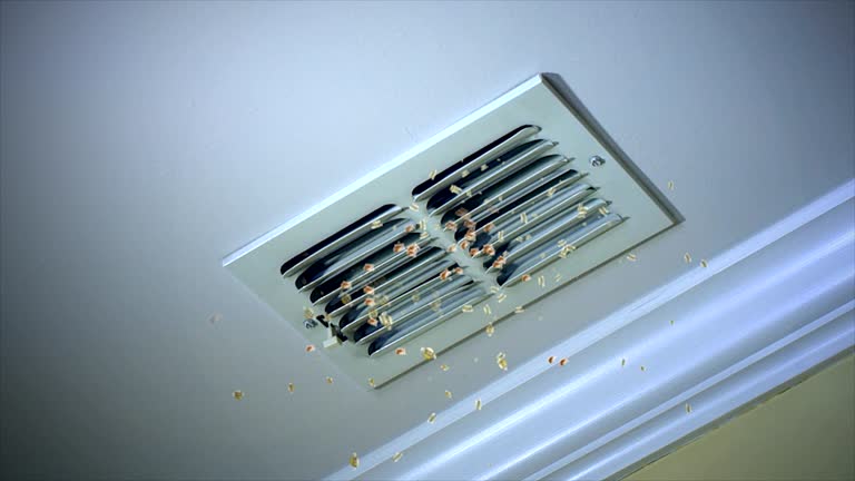 Best Residential Air Duct Cleaning  in Elsberry, MO