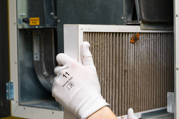 Best Home Air Vent Cleaning  in Elsberry, MO