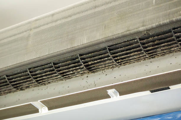 Best Commercial Air Duct Cleaning  in Elsberry, MO