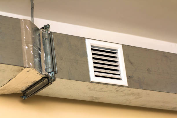 Best Air Duct Sanitizing Services  in Elsberry, MO